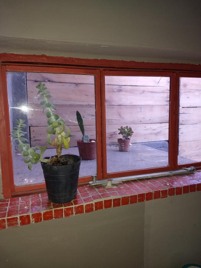 El Tamarisco Daire Puerto Pirámides Dış mekan fotoğraf